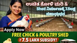 ಉಚಿತ ಕೋಳಿ ಮರಿಗಳು ಮತ್ತು ಕೋಳಿ ಶೆಡ್ | ₹7.5 ಲಕ್ಷ ಸಬ್ಸಿಡಿ ಯೋಜನೆ 2026
