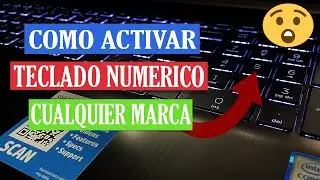 Como ACTIVAR TECLADO NUMERICO En HP, Dell, Asus, Cualquier Laptop 2026
