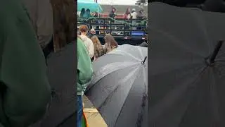 Hometown Parade