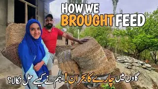 ANIMAL FEED CRISIS in the Village | Watch How We Brought it Back | Village Lifestyle Vlogs | Gilgit