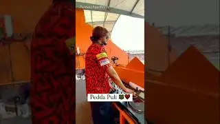 Pedda Puli🐯❤SRH🧡#2024#srh#uppal#stadium#cricket#cricketlover#india#indiancricket#hyderabad#ytshorts
