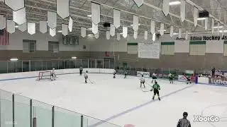 Edina Bantam B2 2026 Live Stream
