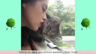 Best Animal Vines Part 2 - Vine Compilation 2016