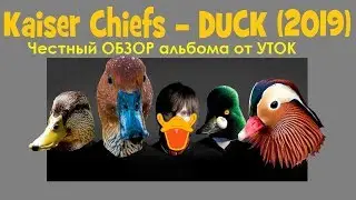 Уточный обзор альбома Kaiser Chiefs - DUCK (2019)