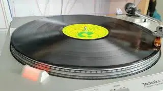 Technics SL B303 Test