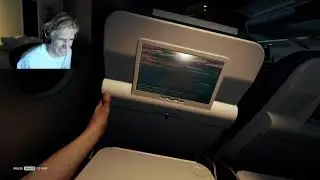 xqc The Forest Real airplane crash