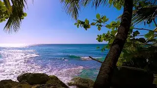Ocean Paradise | 432Hz Music