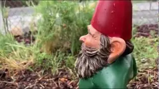 Song For The Sad Gnome