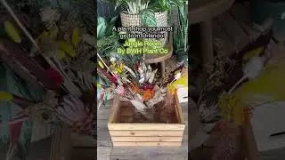 Shop to visit in Orlando #orlando #orlandoflorida #driedflower #floral #plantshop #plants