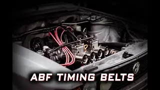 Looking for a VW ABF timing belt? We have plenty!