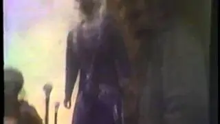 Mr. T Experience - Surfin' Cows (video clip)