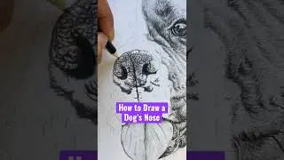How to Draw a Dog&rsquo;s Nose #shorts #shortsvideo #howtodrawadog #shortsfeed
