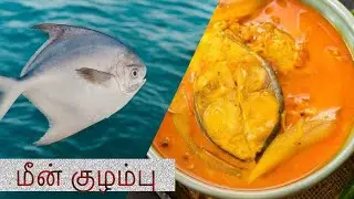 பாட்டி சமையல் || பாறை மீன் குழம்பு (Fish Curry) || S. J. Anshica