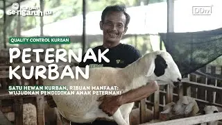 Satu Hewan Kurban, Ribuan Manfaat: Wujudkan Pendidikan Anak Peternak! #KurbanSeNgaruhItu