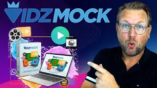 VidzMock Review
