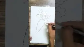How to Draw Carrot   || Easy Carrot Drawing #art #drawing #shorts