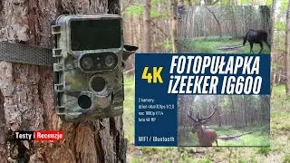 Test kamery leśnej - Fotopułapka iZEEKER IG600 4K #fotopułapka #izeeker