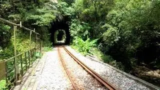 幼坑瀑布.(九層瀑布)路線攻略實景