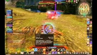 Fun Echo of Soul Battlefield 5th Dec No gem no food no buff