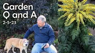 Great Garden Questions Answered - Invasive Plants Invading, Cold Damage, Winter Stratification