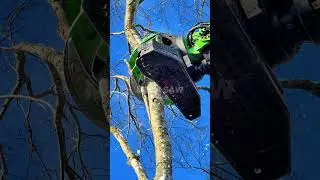 Невероятная машина для вырубки деревьев в действии! 🚜🌲