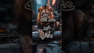 عند الله خير و أبقي#love #control #life #heart #nature #allah❤️ #الرضا #الحياة #success #القرآن