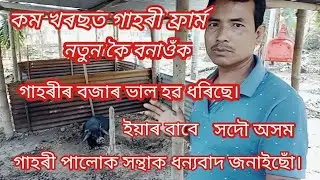 কম খৰছত গাহৰী ফ্ৰাৰ্ম নতুন কৈ বোনাওঁক।Low budget pig farm.pig farm in assam.kamala rabha pig farm.