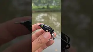 Черная мягкая лягушка щебечет‼️