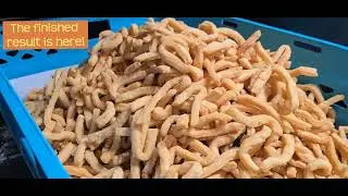 Behind the scenes on how Hilda's Kitchen makes savoury Ghana chips!