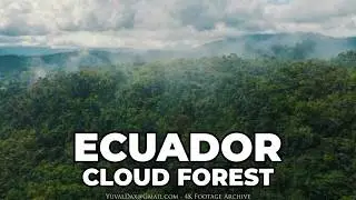 Cloud forest in the Eastern Andean slope / ECUADOR Aerial