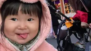 クリスマスディズニーランド🎅🎄
