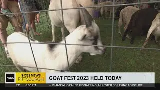 Goat Fest 2023 held in South Side