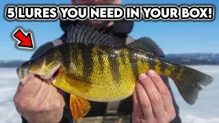 Top 5 Ice Fishing Lures For Perch (With Underwater Footage)