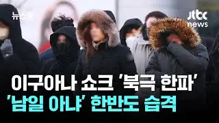 이구아나 기절시킨 '북극 한파'…6일부턴 한반도 습격 / JTBC 뉴스룸