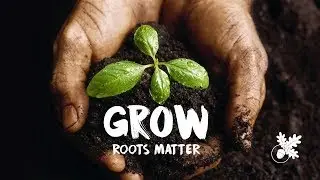 Three Oaks Church | Grow Series | wk3