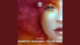 Mammifer