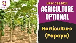 Papaya | Horticulture | Agriculture Optional Foundation 2023/24