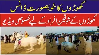Ghora Dance 2023 | Hourse Dance | Sufaid Ghora Dance Mela | Kissan News