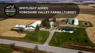 Ontario Organic: Spotlight on Yorkshire Valley Farms - Turkey