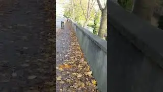 #Walking in #Dublin #goldenseason #ireland #season #fallseason #осінь #осень#oto&ntilde;o#autumn #goodvibes