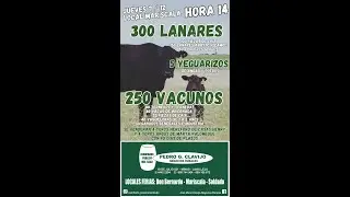 07/12/2023 Local Mariscala - Pedro G. Clavijo