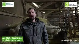 Problematik Wolf - Jan Phillip Timmerberg, Sch&auml;fer