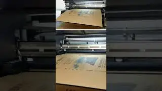 Digital Printing for Corrugated Packaging