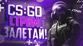 3200 rank#4 faceit тестим стрим, общаемся