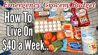 We Tried Feeding 4 People on $40 for a Week (Breakfast, Lunch & Dinner) | JULIA PACHECO