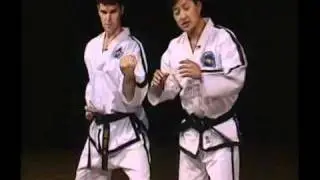 Grand Master Choi Jung Hwa  ITF President