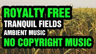 🎼🎵 [Loop Ready Ambient Music] Tranquil Fields - Tense (Royalty Free Music, Creative Commons)🎵🎼
