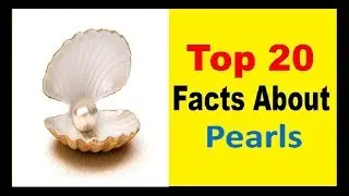 Pearls - Facts