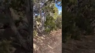 We found another monolith in Utah!