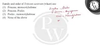 Family and order of Triticum aestivum (wheat) are:....
